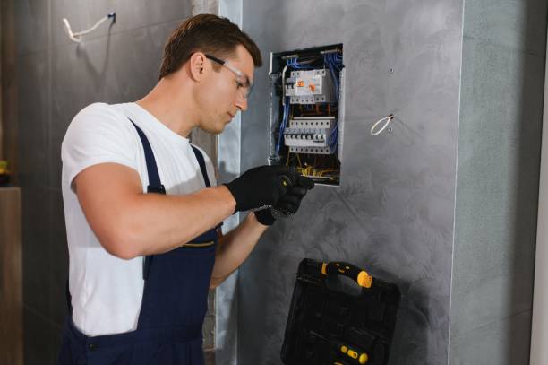 Best Ceiling Fan Installation Electrician  in Magnolia Springs, AL